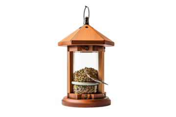 A Tiny Bird Enjoys a Feast in a Wooden Bird Feeder on a Clear PNG or White Background.