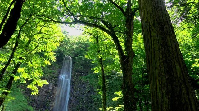 玉簾の滝・滝の音・たますだれのたき（山形県・酒田市）