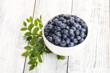 Ripe sweet blueberry in the bowl