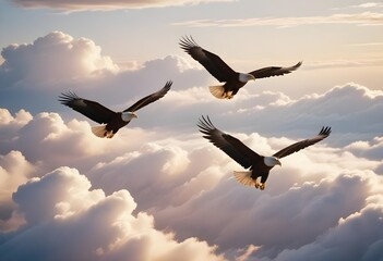 Fototapeta premium Birds in the sky 