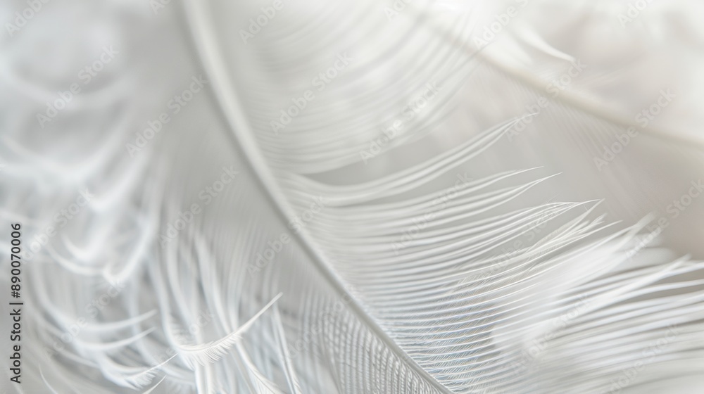 Poster detailed close-up of a soft white feather, showcasing delicate textures and fine lines, emphasizing 