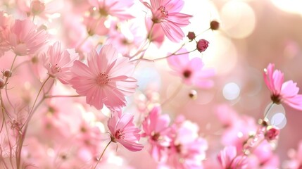 Obraz premium Flower beautiful wallpaper simple pink