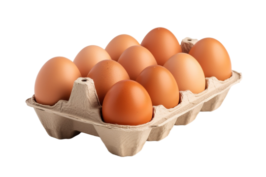 A Dozen Golden Eggs Nestled in a Cardboard Carton on a Clear PNG or White Background.