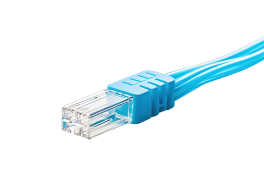 A Blue Ethernet Cable Connector Close-Up Against A White Background on a Clear PNG or White Background.