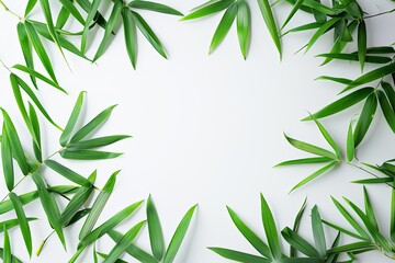 luxury bamboo frame on white background 