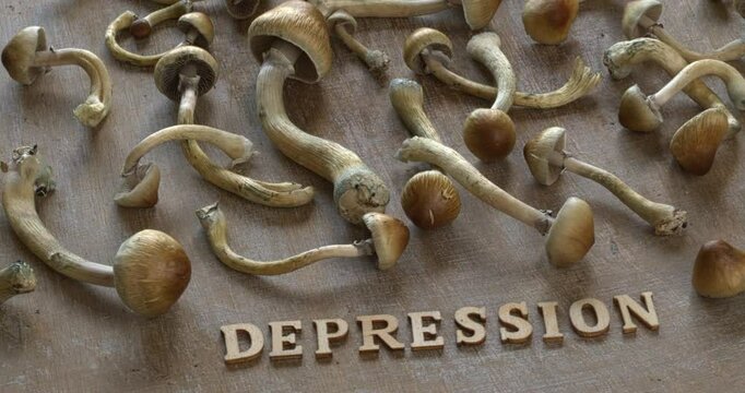 wooden letters forming a word depression, and fresh Psilocybe Cubensis mushrooms. Using psilocybin in the treatment of depressive disorder concept. Moving left and right. Seamless loop.