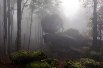 Fototapete bei efototapeten.de bestellen   