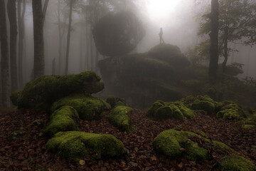 Fototapete bei efototapeten.de bestellen   