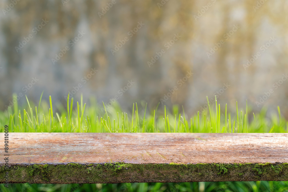 Poster Empty wooden shelf displaying fresh green grass background with copy space for product display