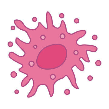 apoptosis 