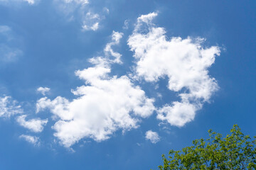 Beautiful blue sky with strange shape of clouds and trees in the morning or evening used as natural background texture in decorative art work