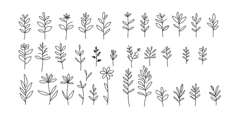 set of silhouettes of plants. Vector illustration of various minimalist floral and botanical line drawings. Ideal for design projects, invitations, and decorative elements