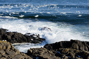 北海道　根室の花咲岬から見た流氷