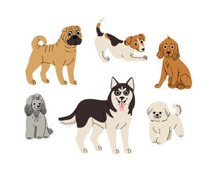 cartoon Dogs in motion set. Different canine breeds. Active puppies siberian husky, jack russell terrier, cocker spaniel, miniature poodle, shar pei, bishon frize. Flat vector illustration