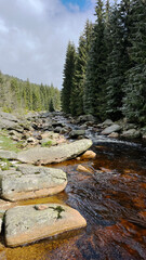 Obraz premium Jizera River, Pedestrian Bridge on the Border of Poland and the Czech Republic. Mountain landscape