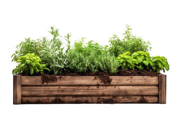A Vibrant Garden of Herbs Flourishing in a Wooden Planter Box on a Clear PNG or White Background.