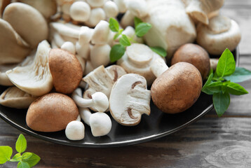 Assortment of various mushrooms