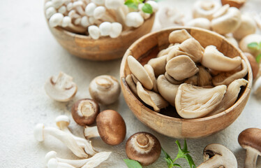 Assortment of various raw mushrooms