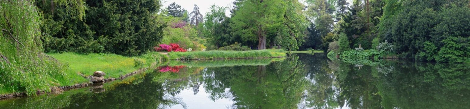 lake in the forest