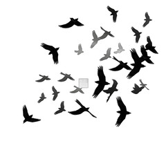 Naklejka premium bird silhouette illustration