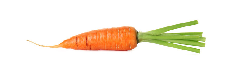 One fresh ripe carrot isolated on white