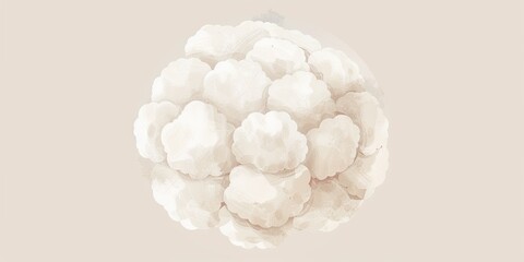 Illustration of Cauliflower