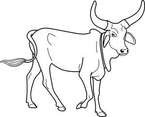 Indian Desi Bull illustration. Hand drawn in thin line style