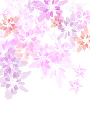 pink background with flowers