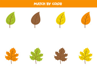 Color matching game for preschool kids. Match autumn leaves by colors.