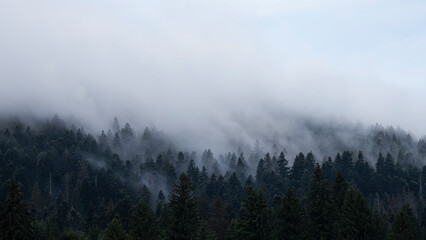 Mountain landscape with clouds and fog