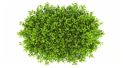 Obraz premium A simple illustration of a bush, with only one in the center of the image, is a symbol of art. Dynamic on a clean white background.