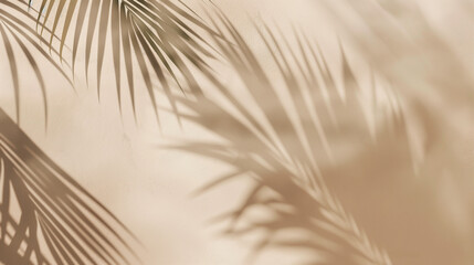Palm leaves on beige background