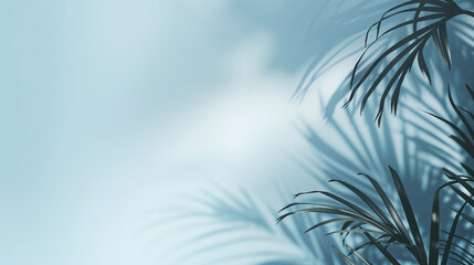 Palm leaves on pastel blue background