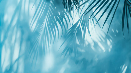 Palm leaves on pastel blue background