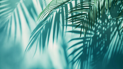 Palm leaves on pastel teal background
