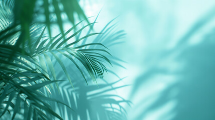 Palm leaves on pastel teal background