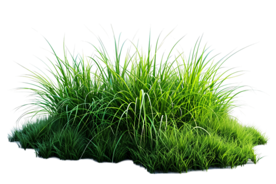 Lush Green Grass Patch Rendered on Transparent Background
