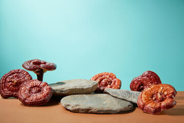 Over blue background, some blocks of stone are decorated with red lingzhi mushrooms. Blank space for beauty or healthy products presentation. Lingzhi mushroom can help strengthen the immune system