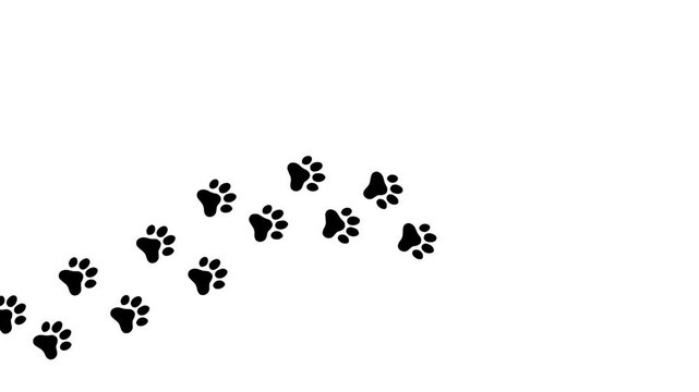 Paw vector foot trail print of cat or dog video. Dog, puppy silhouette animal diagonal track backgrounds, patterns, websites, showcases design, etc.