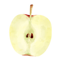 半分にカットしたリンゴの水彩風のイラスト