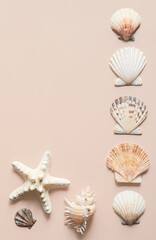 Sea shells randomly placed on beige background.
