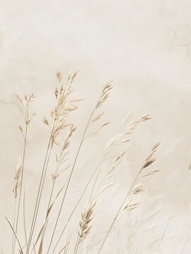 An elegant and minimalist vertical background featuring delicate wheat grass in a soft beige color palette, perfect for creating a serene and stylish aesthetic on social media posts