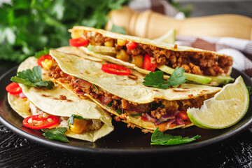 set of delicious fresh colorful quesadilla on a dark background