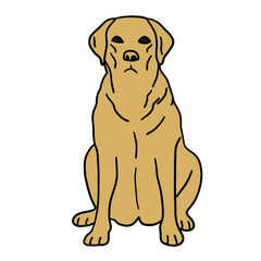 Fototapeta premium 강아지