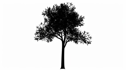 A simple illustration of a tree, with only one in the center of the image, is a symbol of art. Dynamic on a clean white background.