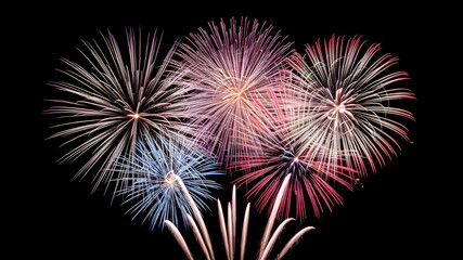 Fireworks of Various Colors Bursting. A Black Background Canvas
