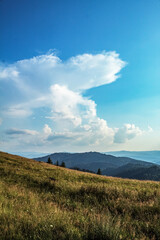 Landscapes - Forest - Europe, Romania, Suceava region