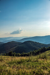 Landscapes - Forest - Europe, Romania, Suceava region
