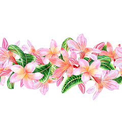 Tropical pink plumeria flowers with leaves.Seamless border pattern isolated on white background. Hand drawn watercolor illustration. For design, invitations, cards, decoration