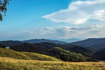 Fototapeta premium Landscapes - Forest - Europe, Romania, Suceava region